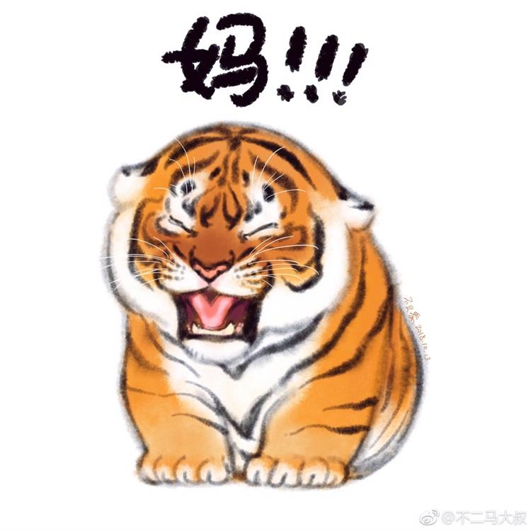 小毛豆12