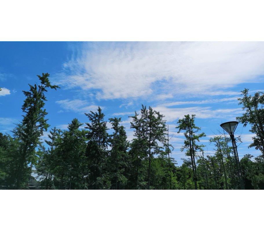 食物撑起的城市游记