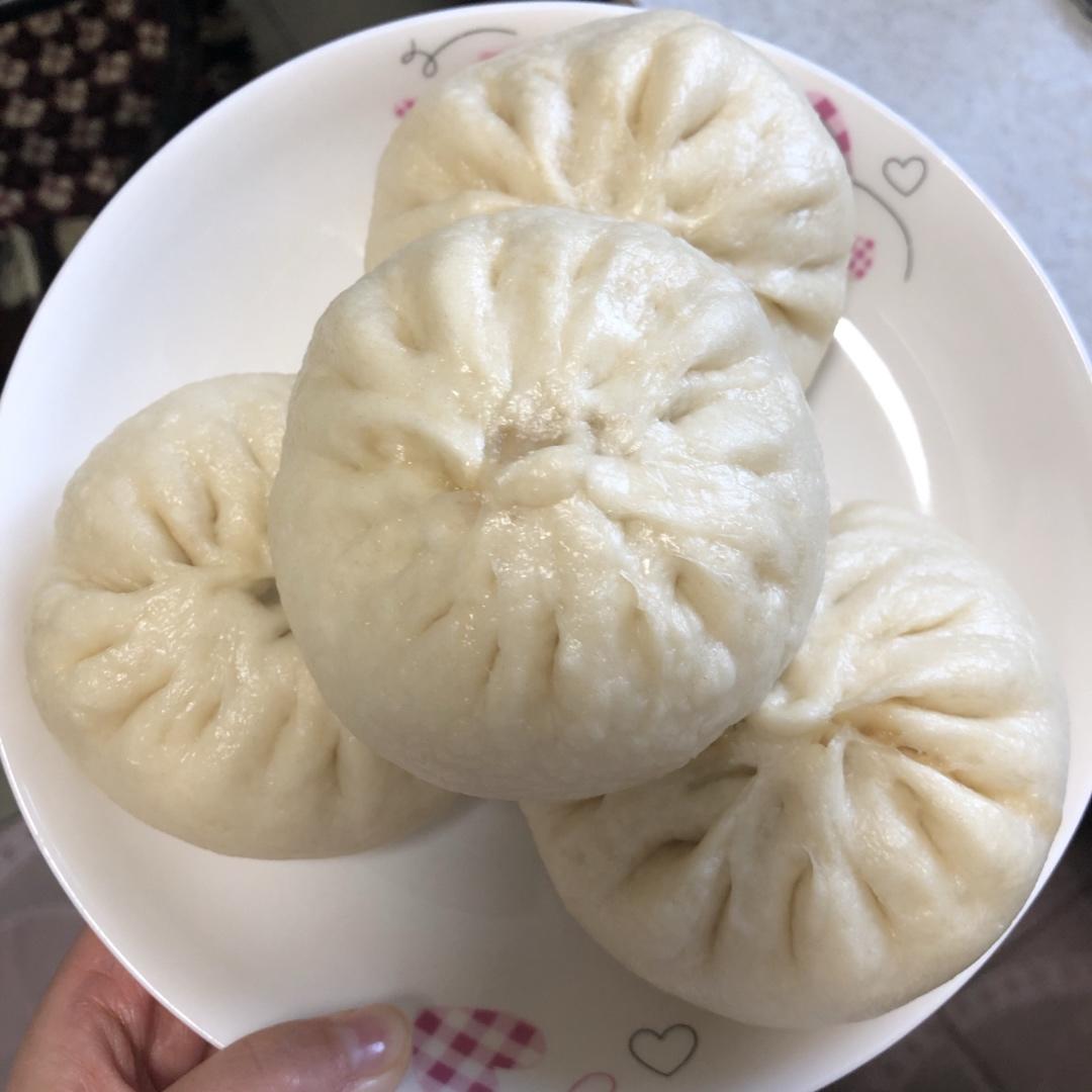 堂妈教你山菜鲜肉大包子