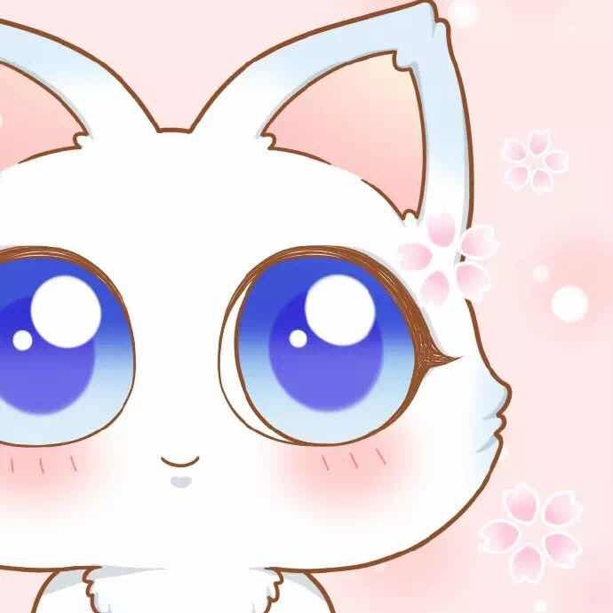 vikoBoBo