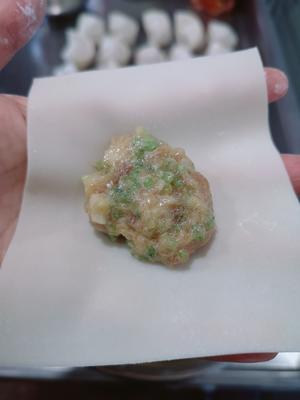 芹菜鲜肉大馄饨的做法 步骤4