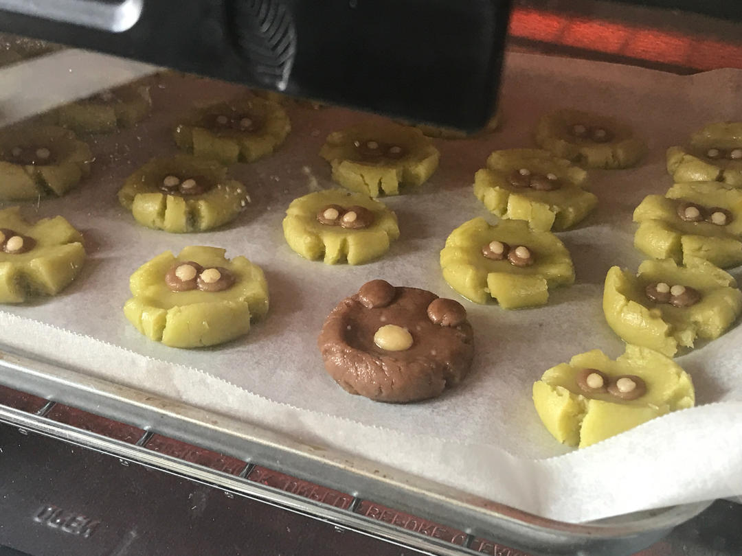 玛格丽特小熊饼干🐻