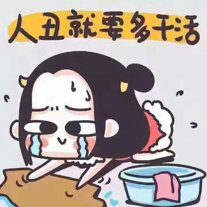 Y帆帆