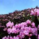 可爱宝贝呀呵呵