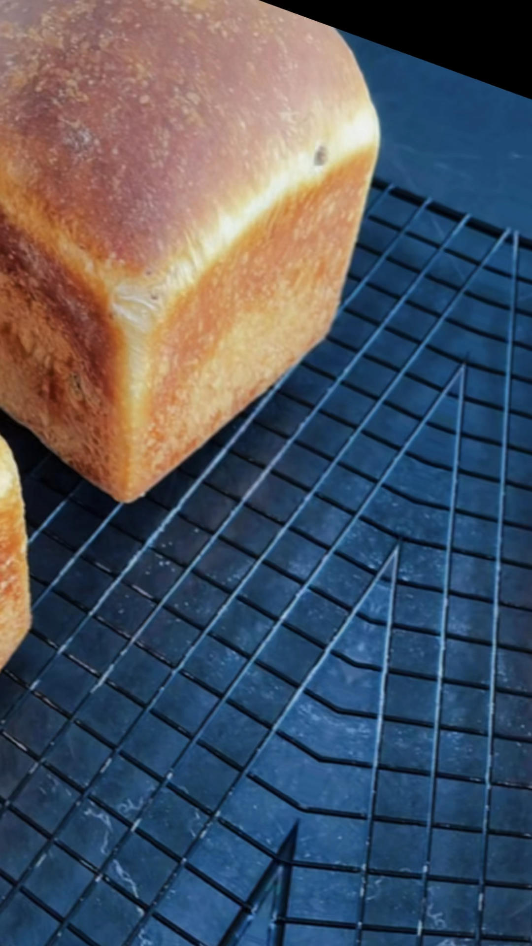 鲁邦种椒盐庞多米-超详细视频