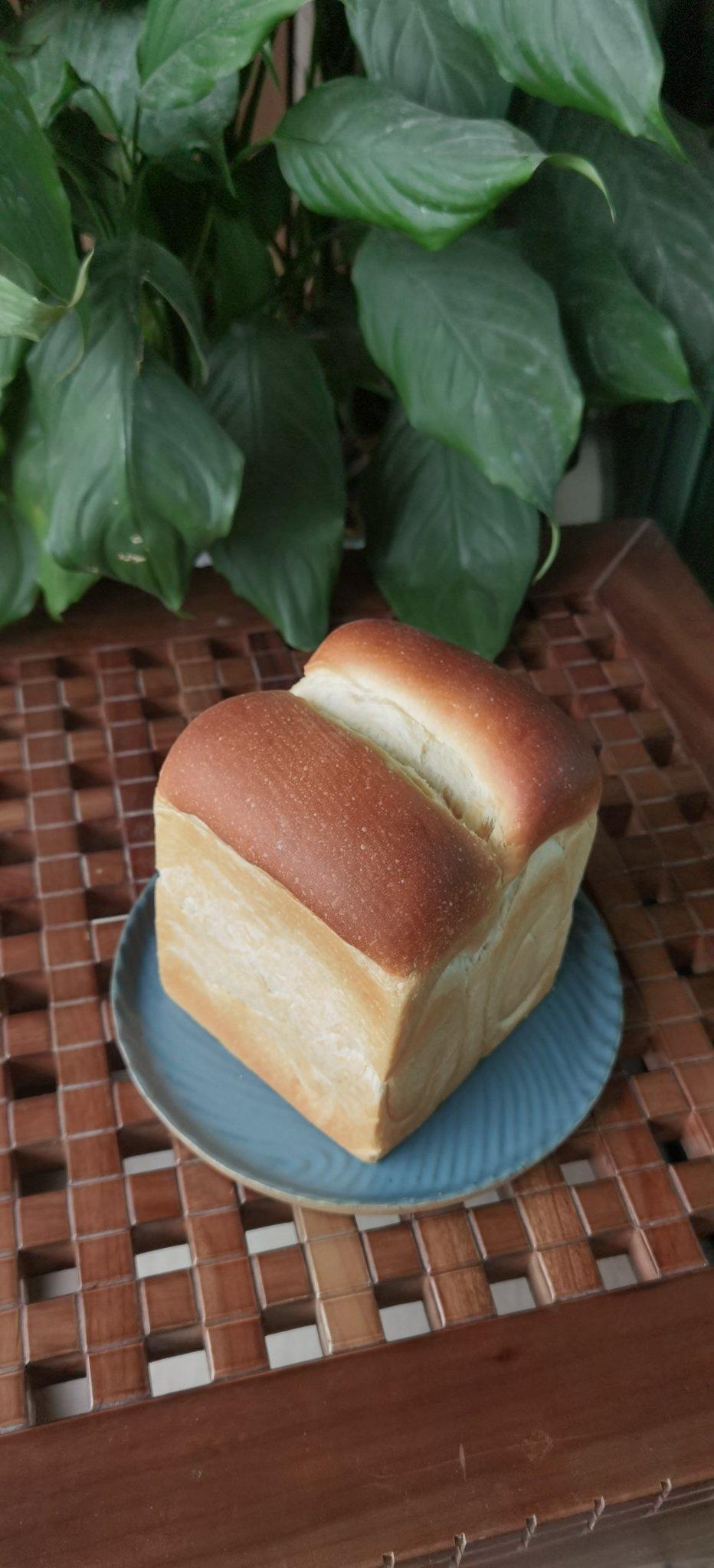 鲜奶吐司（老面法）