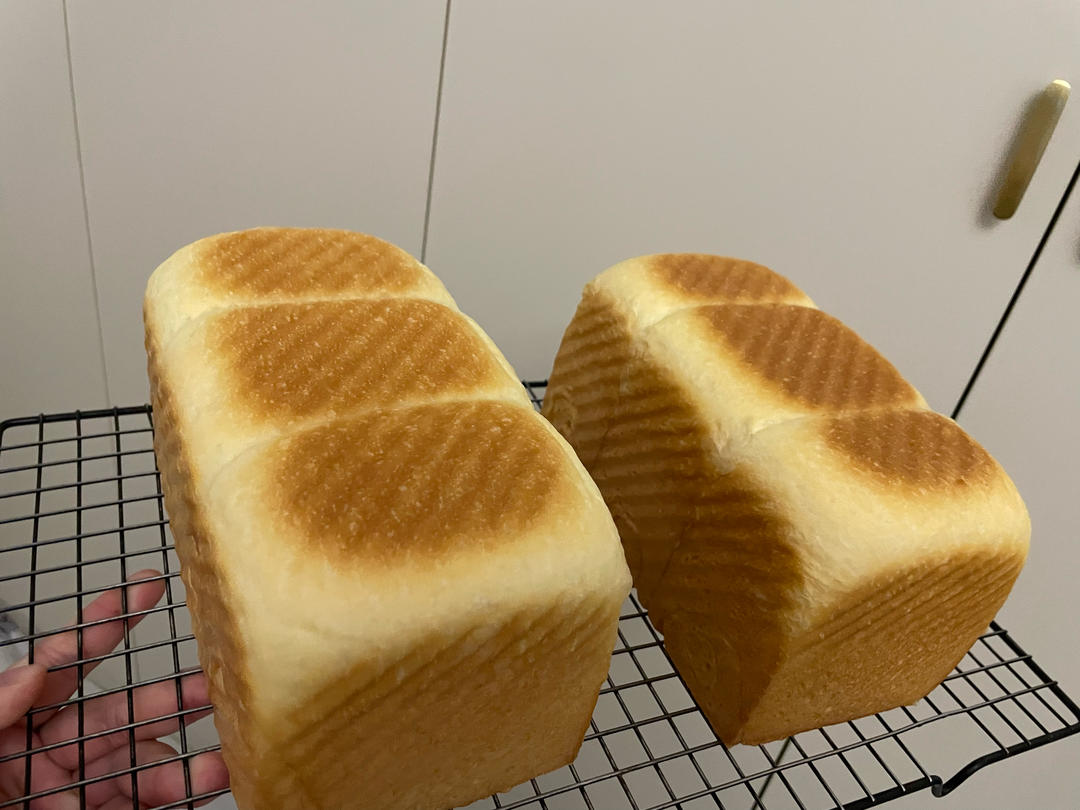 波兰种牛奶吐司