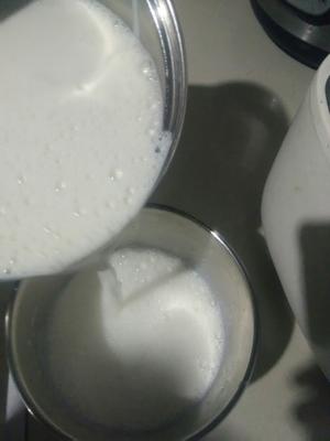 老酸奶的做法 步骤6