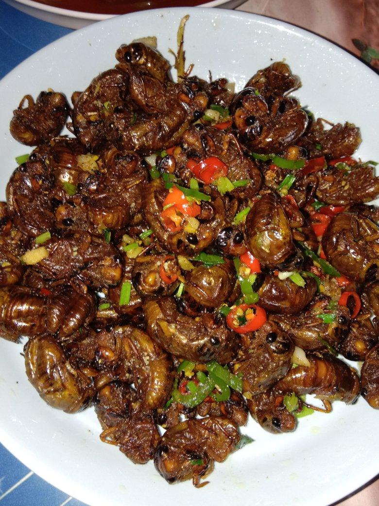 分享作品 晚餐2018年8月4日 #晚餐2018年8月4日#油炸知了猴