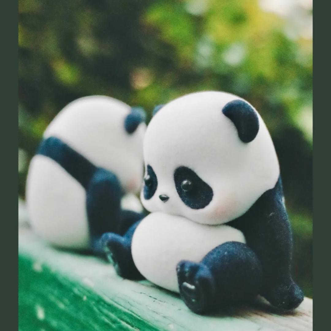 美人宜修-小琼