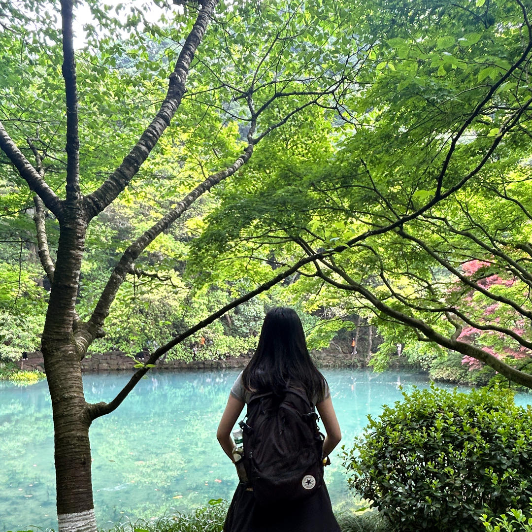 小魏今天吃什么