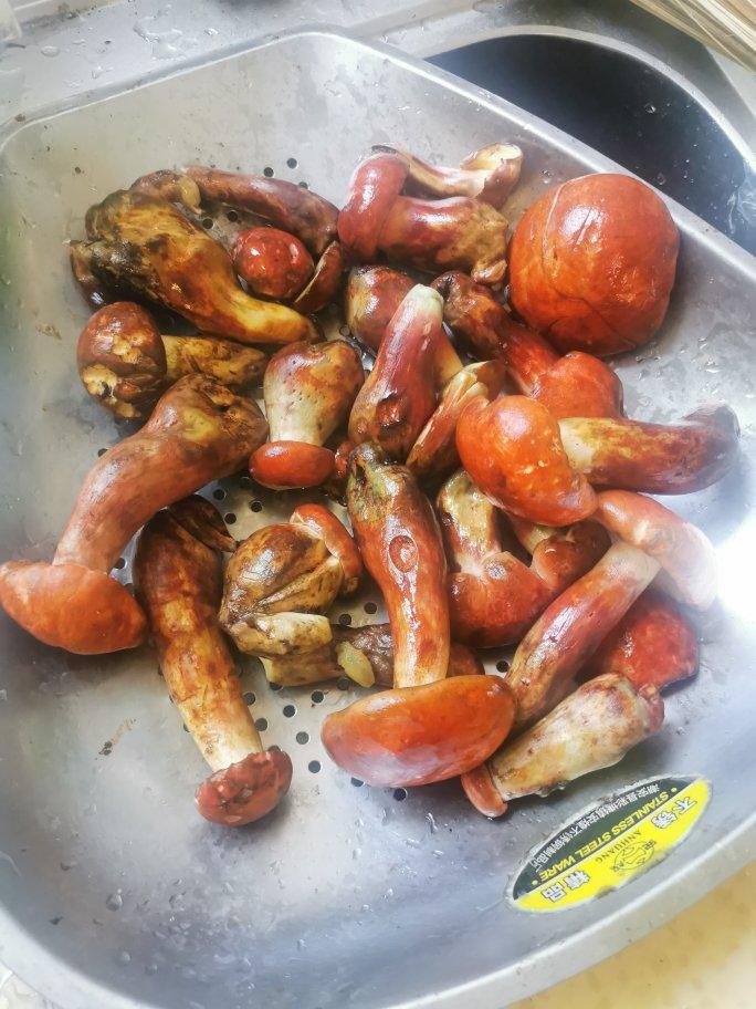 青椒牛肝菌（红见手青）