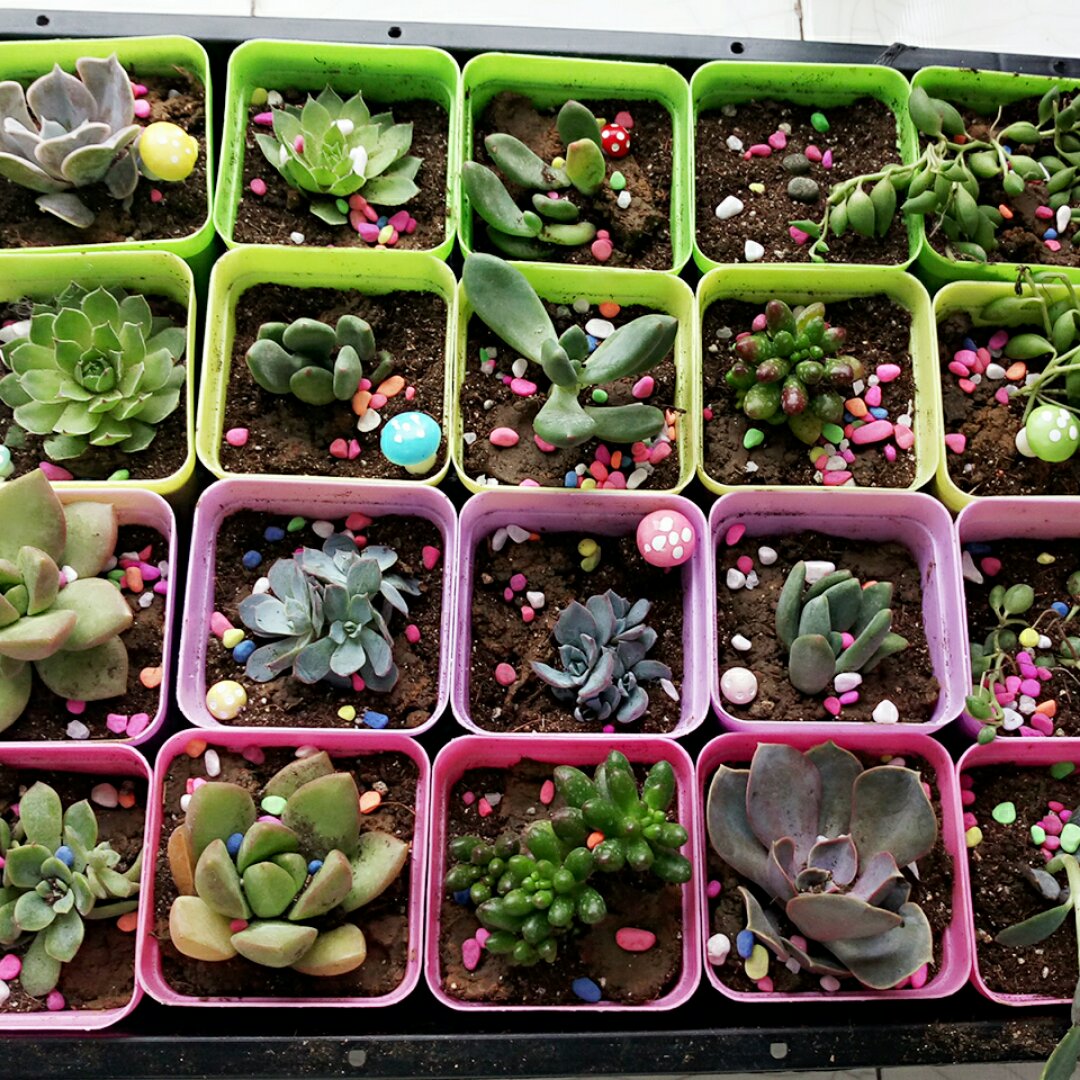 手机用户9783_d9wq