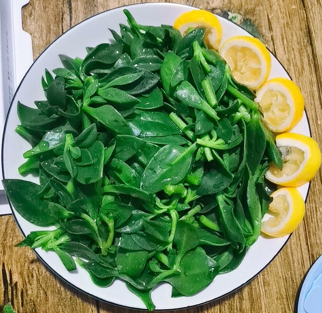 柠檬酸甜穿心莲