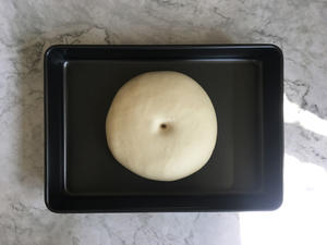 软软的牛奶面包的做法 步骤7
