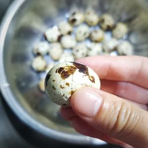 秘制五香鹌鹑蛋‼️香浓入味 一口一个好过瘾的做法 步骤3