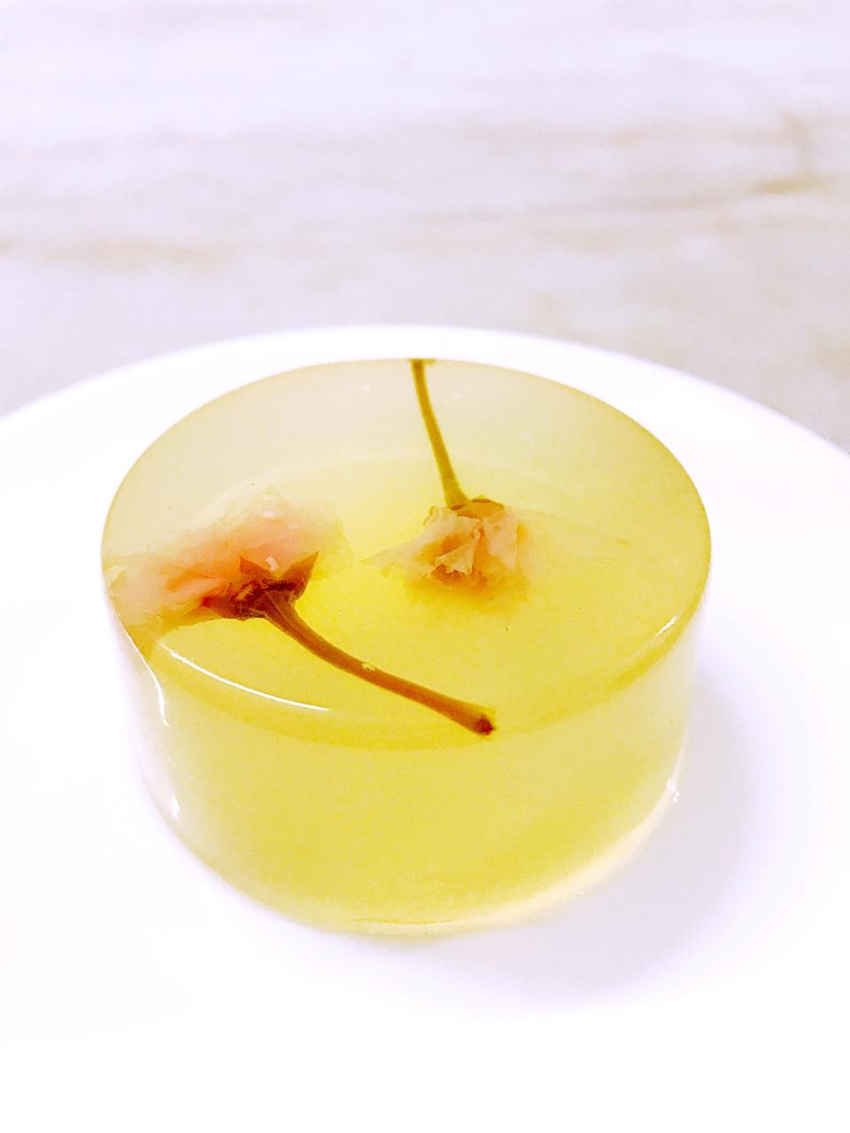 手机用户1027_vak2做的天然果冻海石花