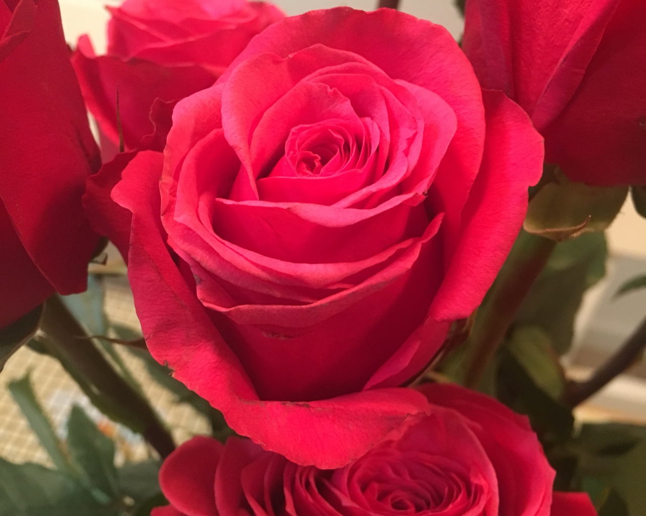 让你爱的玫瑰陪你更久～自制干玫瑰花束其实很简单的做法 步骤4