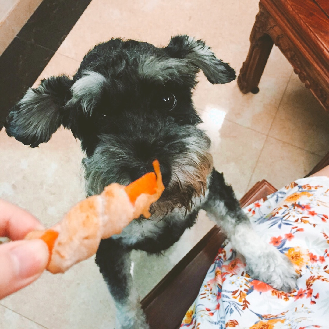 狗狗零食 鸡胸肉扭胡萝卜