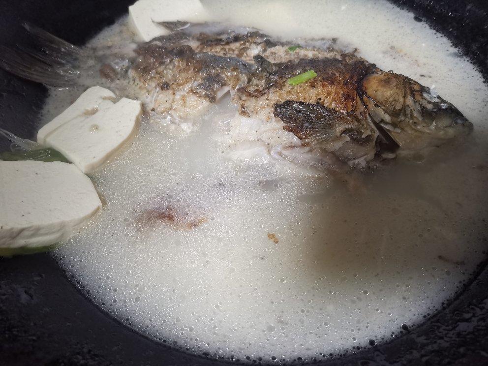 鲫鱼汤（包你能煮白白）