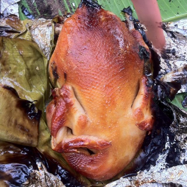 野外自制泥翁鸡（泥煨鸡）