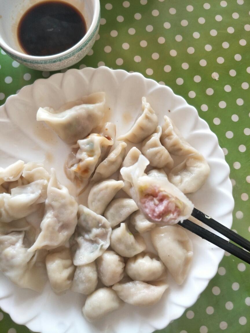芹菜饺子💚