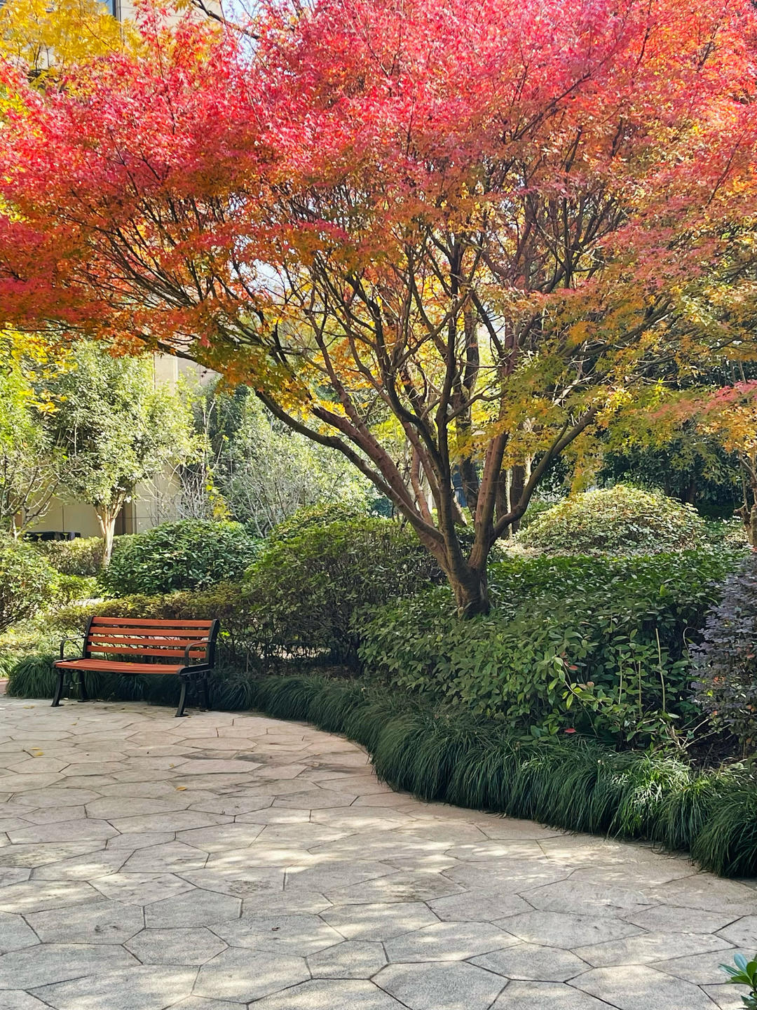 那些平凡生活中的小趣味、小幸福…