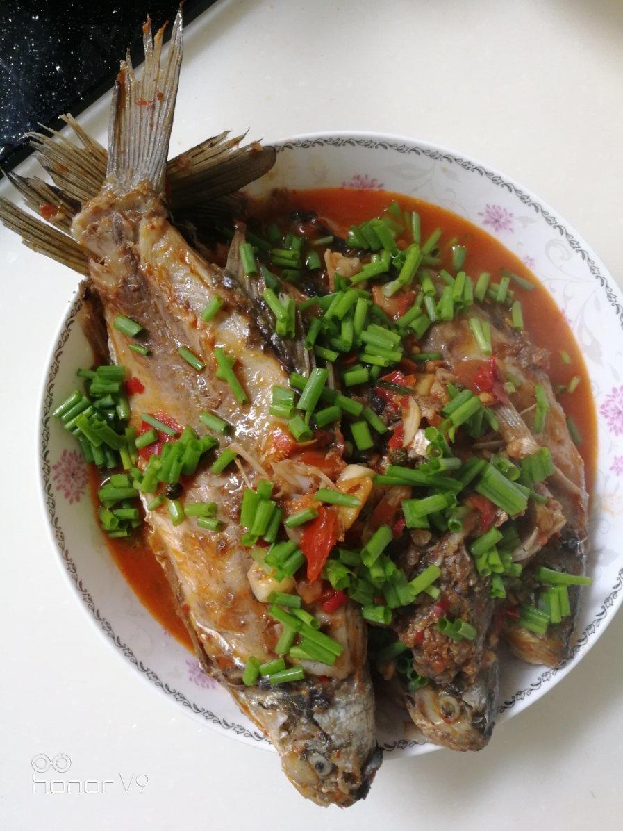 家常豆瓣鲫鱼