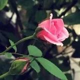 滋味新厨的厨房