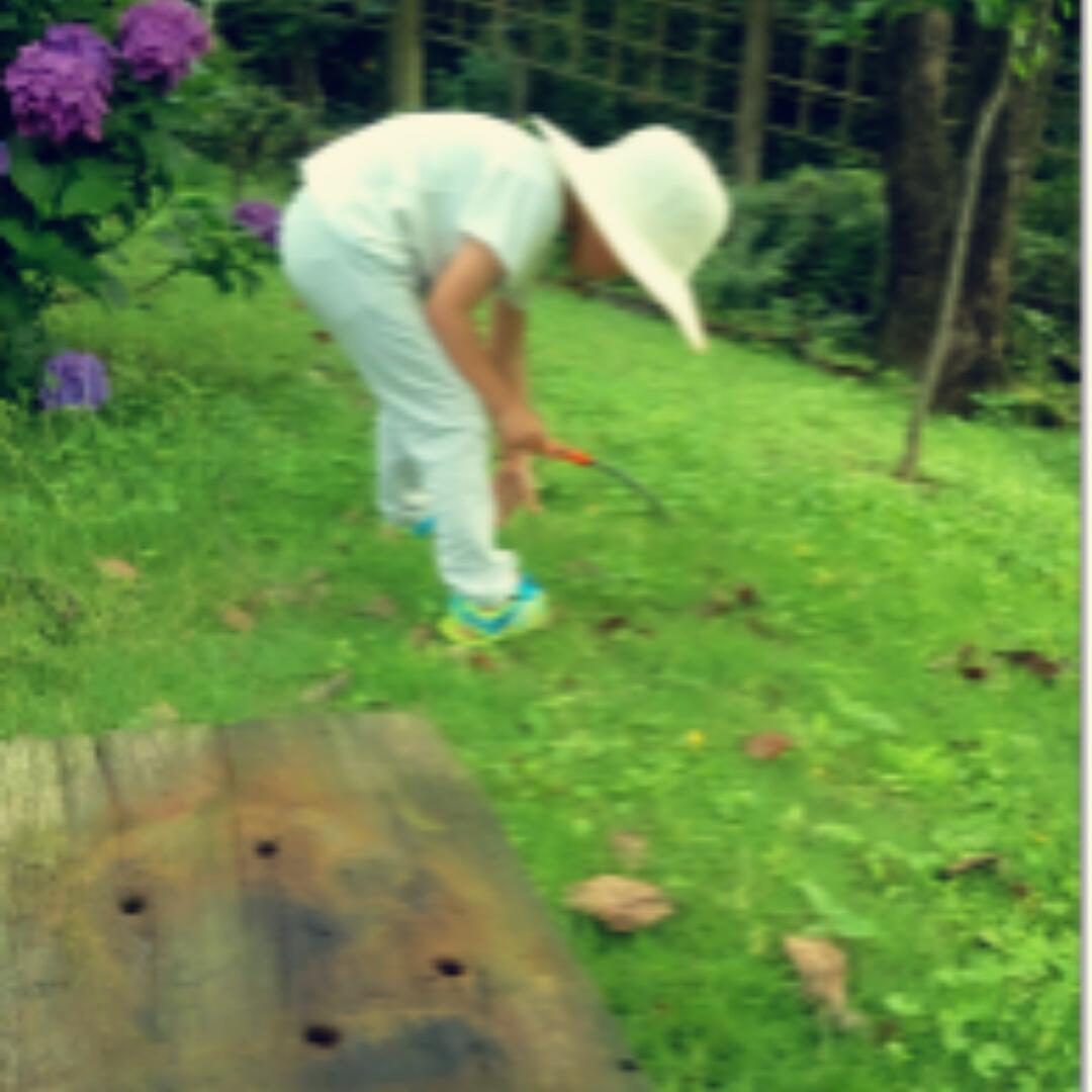 豆可111