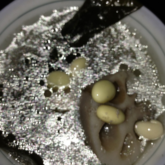 莲藕海带排骨汤