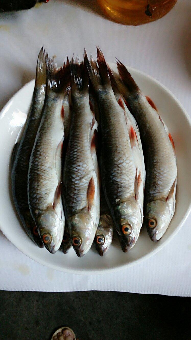 红烧小鲮鱼