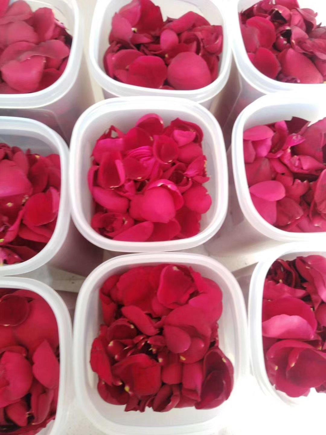 晚餐•2019年2月25日