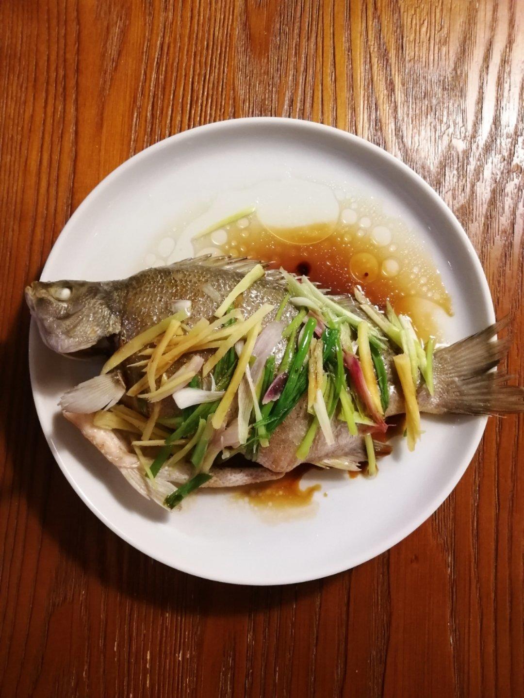 清蒸鱼（鲈鱼/多宝鱼/桂花鱼/石斑鱼……）