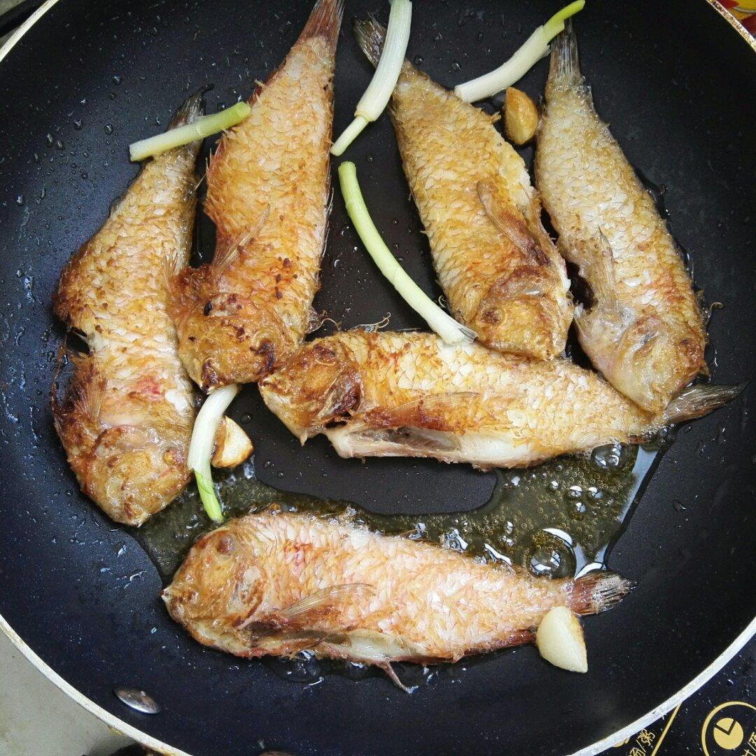 裸烹：香煎马头鱼