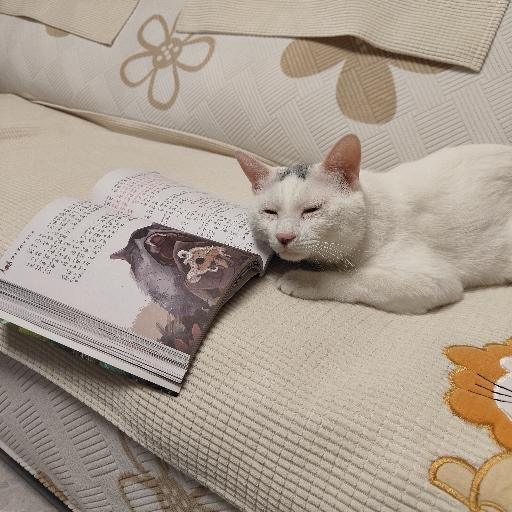 做出自己的味道