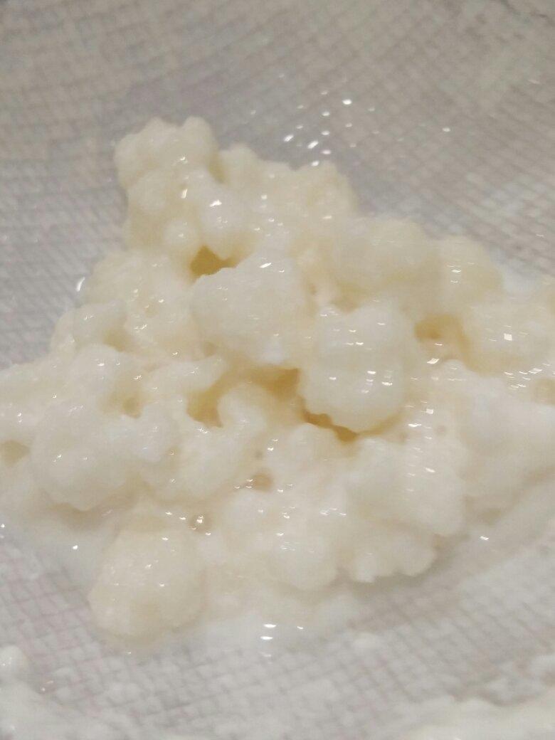 开菲尔酸奶喂养详攻略（milk kefir）丨发酵·奶类