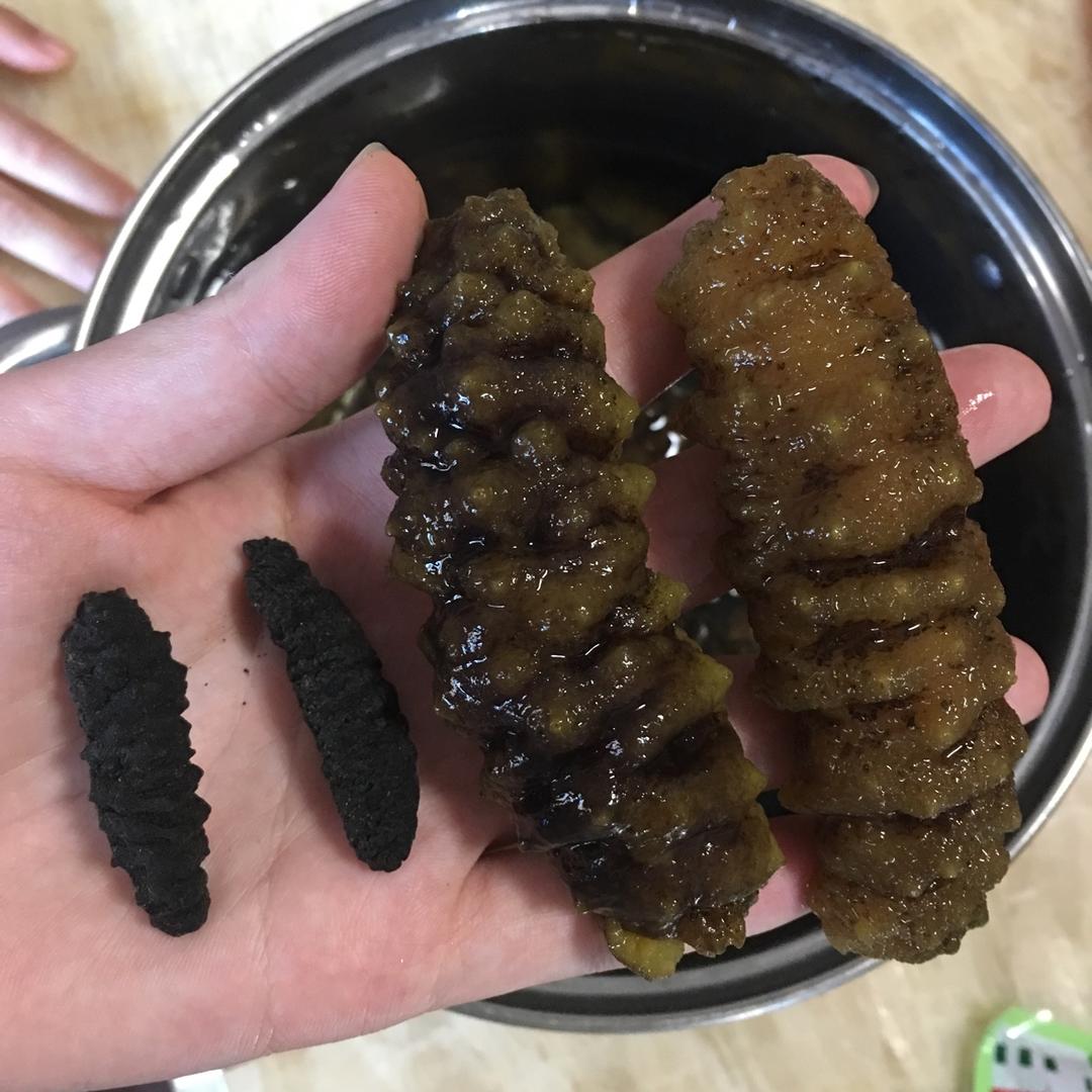 海参泡发攻略