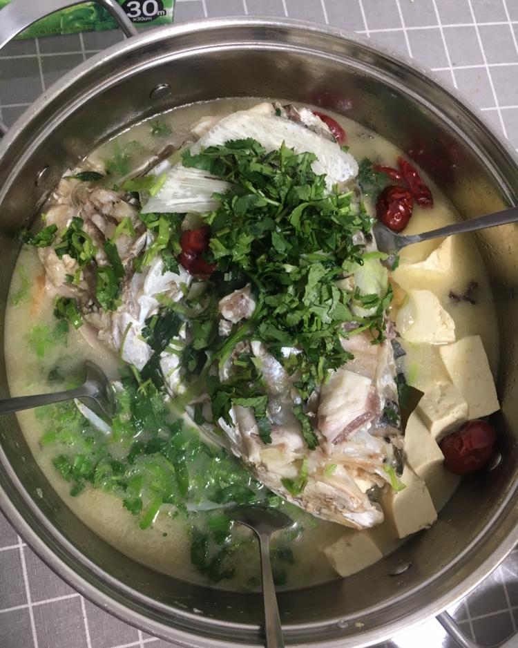 花鲢鱼头豆腐汤