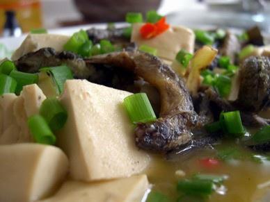泥鳅焖豆腐的做法