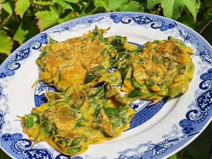荆芥托儿