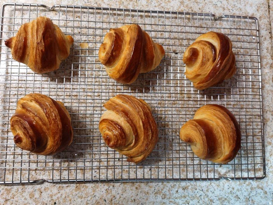 《Tinrry+》可颂（帅帅小厨）