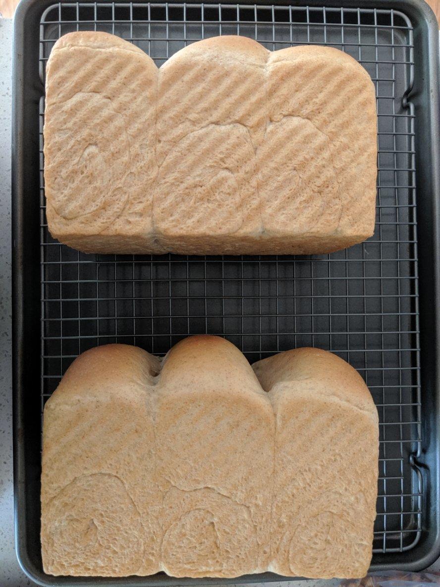 超软全麦北海道吐司