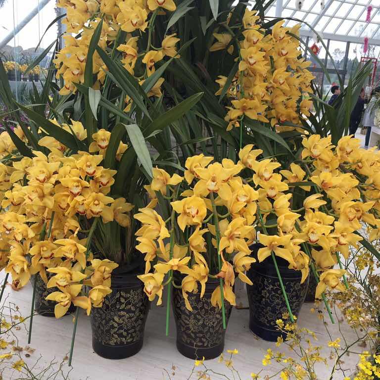 做一个享受生活的厨娘