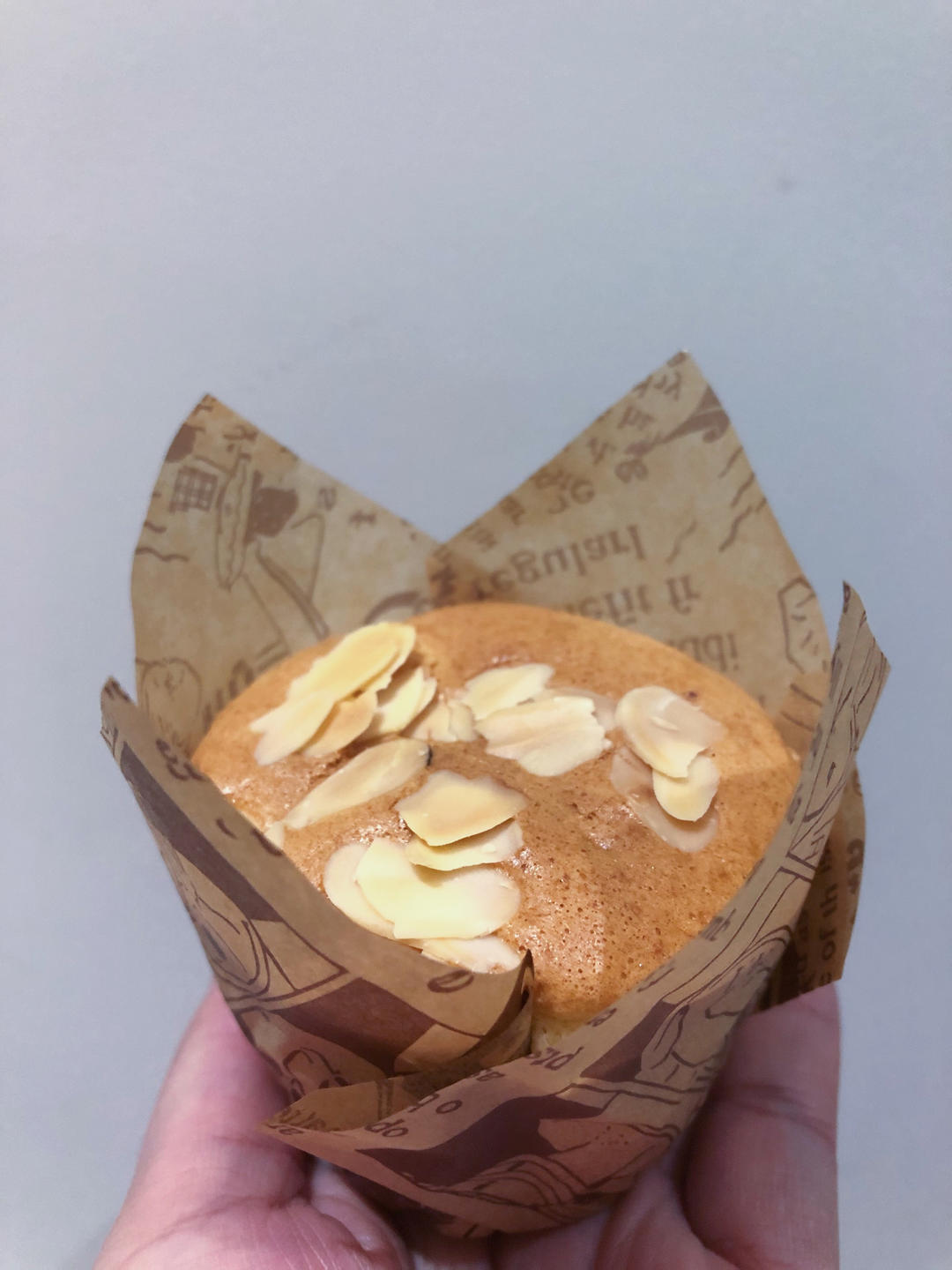 超详细🔎记录：咸香肉松拔丝蛋糕