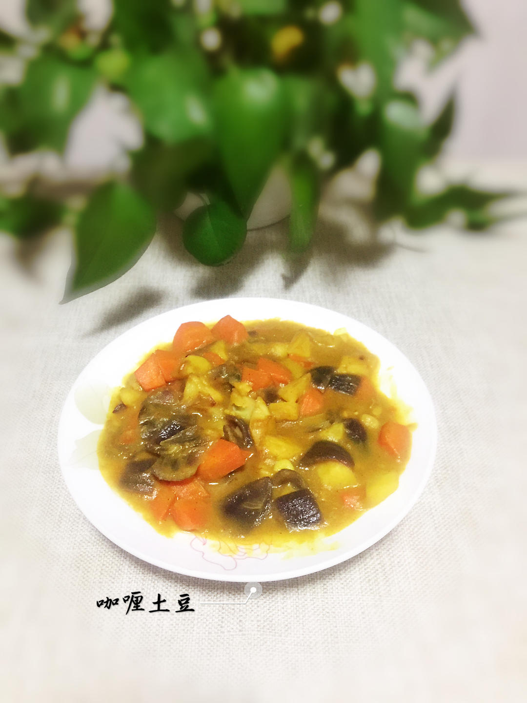 【三个小时十八道菜】之咖喱土豆