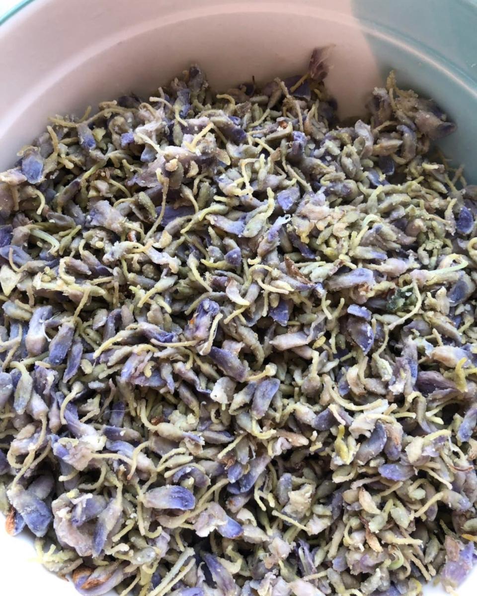 蒸紫藤花
