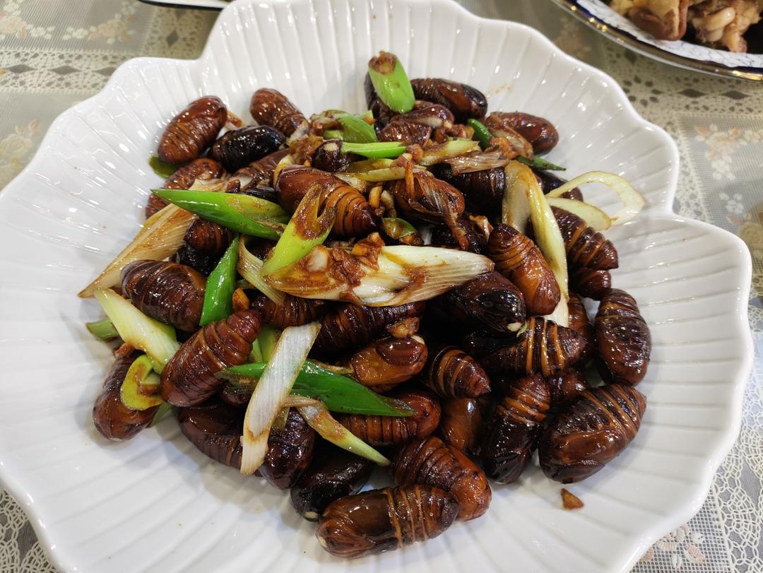 家常炒茧蛹