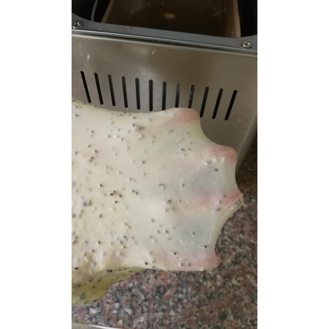 【视频】亚麻籽小餐包～可以手撕哦