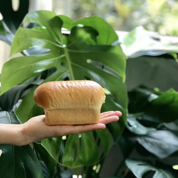 撸面包🍞